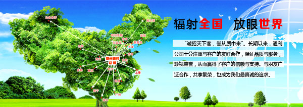 15470043861378.jpg 15113368429265.jpg